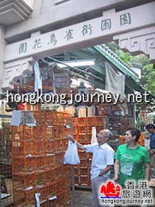 旺角雀仔街
(香港旅游网)